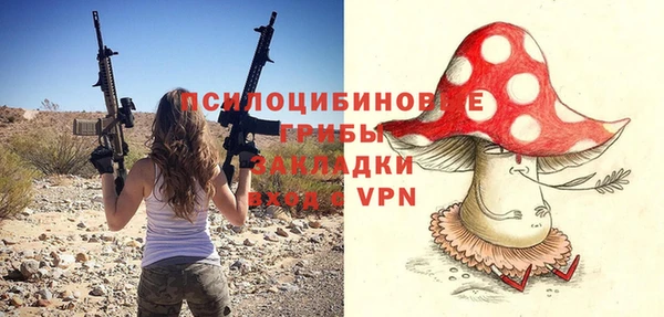 хмурый Майский