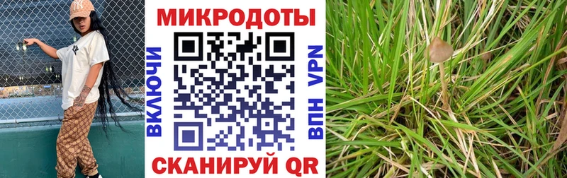 гидра ссылка  Чудово  Галлюциногенные грибы ЛСД 