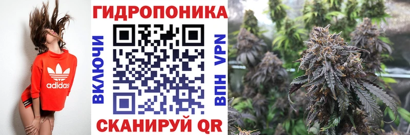 купить наркотик  Чудово  Марихуана VHQ 